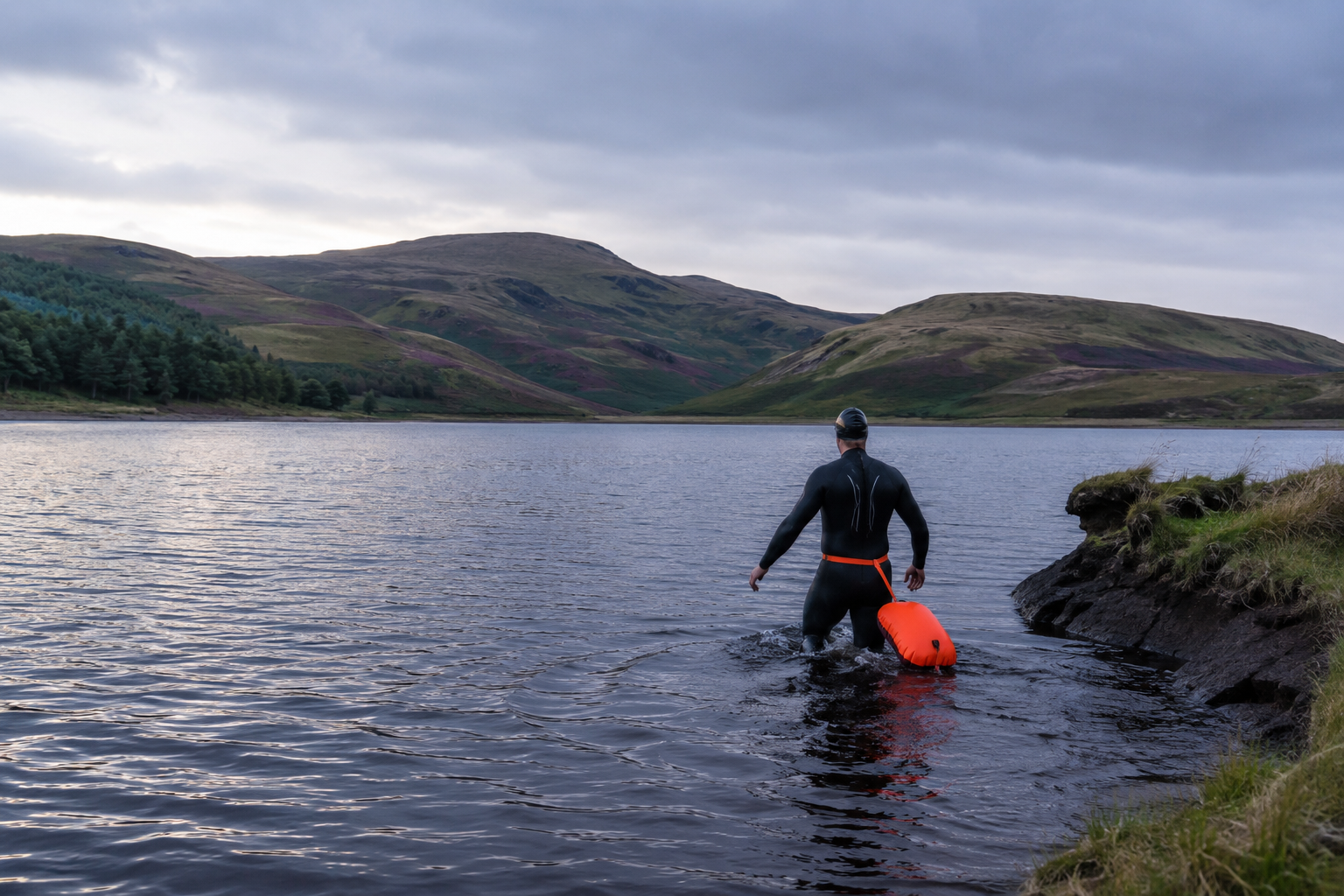 () editorial image showing a wild swimmer at Harlaw Reservoir entering cold dark Scottish reservoir water, wearing a black